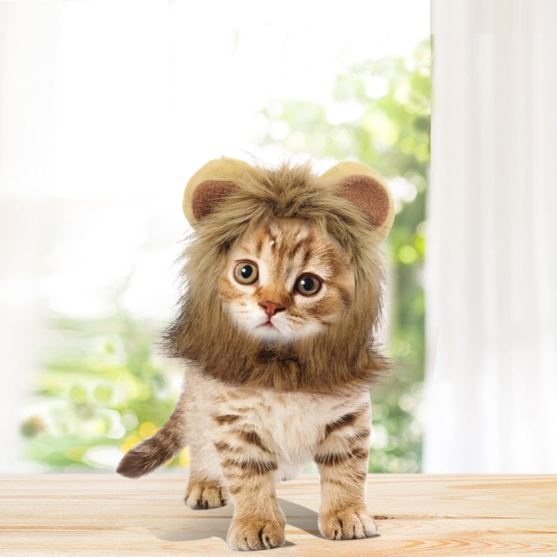 Cat Costume Lion Mane Wig Halloween Dress Up Headwear with Ears Photo Prop Fancy Costume Furry Pet Hat For Cat & Small Dogs