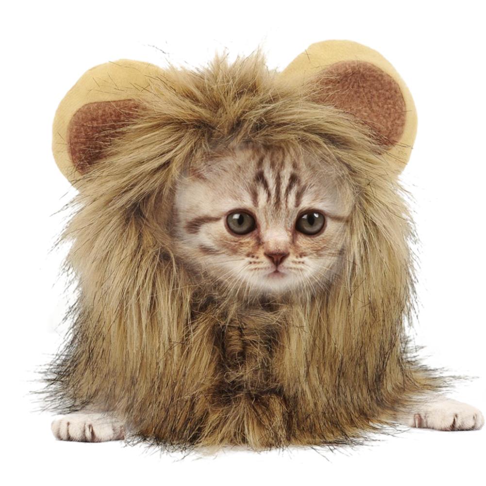 Hot Fashionable Fluffy Cat Cap Costume Lion Head False Ear Figure Changing Brand New Pet Funny Hat Autumn Winter Pet Cosplay